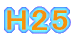 H25