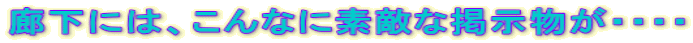 廊下には、こんなに素敵な掲示物が・・・・
