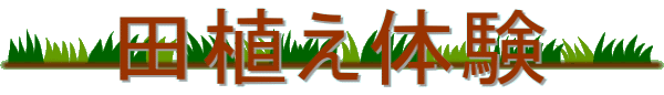 cǍ