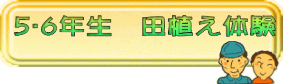 taue
 