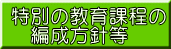 特別の教育課程の 　編成方針等