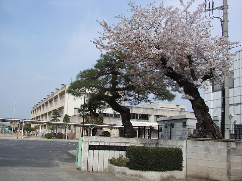 伊勢崎市立殖蓮小学校